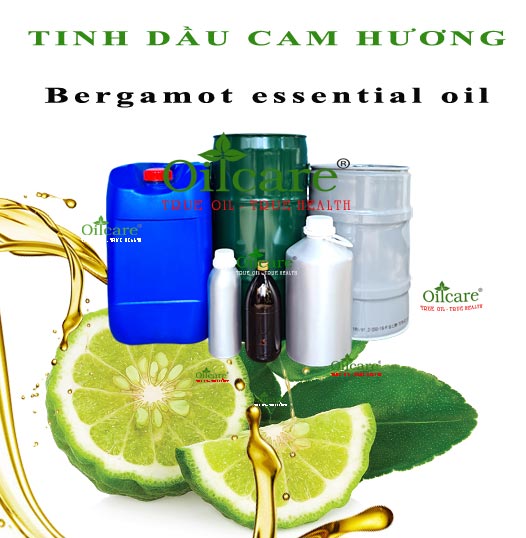 Tinh dầu cam hương bán sỉ lít kg buôn bergamot essential oil giá rẻ mua ở đâu