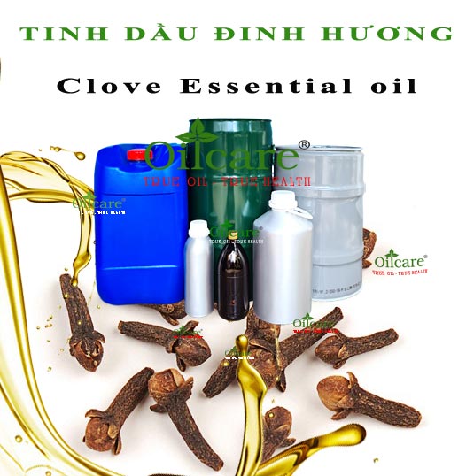 Tinh dầu đinh hương bán sỉ kg lít buôn clove essential oil giá rẻ mua ở đâu