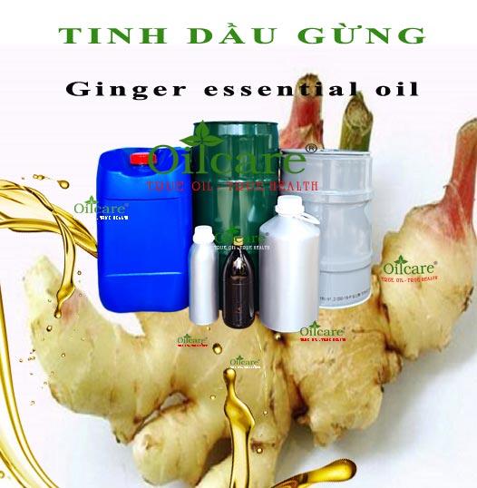 Tinh dầu gừng bán sỉ kg lít buôn ginger essential oil giá rẻ mua ở đâu