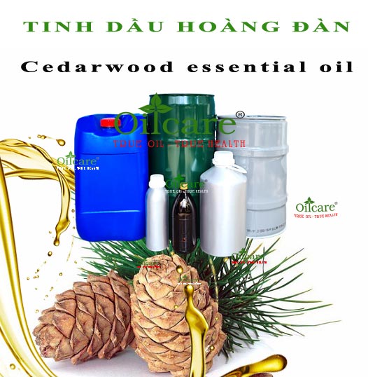 Tinh dầu hoàng đàn bán sỉ kg lít buôn cedarwood essential oil giá rẻ mua ở đâu