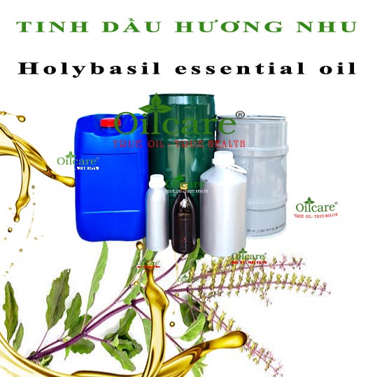 Tinh dầu hương nhu bán lít kg sỉ buôn holy basil essential oil giá rẻ mua ở đâu