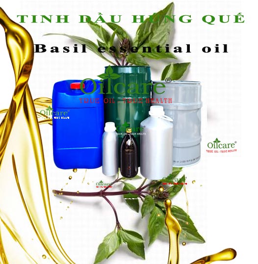 Tinh dầu húng quế bán sỉ lít kg buôn basil essential oil giá rẻ mua ở đâu