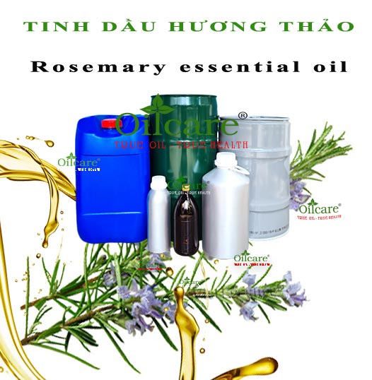 Tinh dầu hương thảo bán lít sỉ kg buôn Rosemary essential oil giá rẻ mua ở đâu