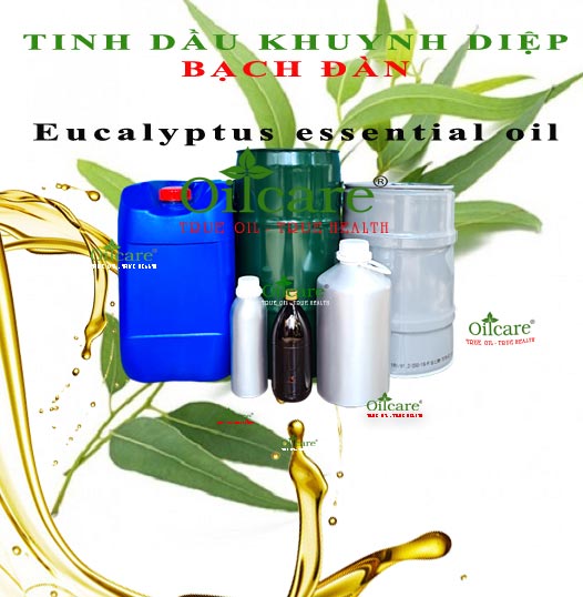 Tinh dầu bạch đàn khuynh diệp bán sỉ kg lít buôn Eucalyptus essential oil giá rẻ mua ở đâu