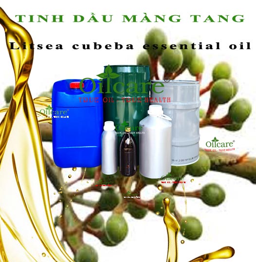 Tinh dầu màng tang sỉ kg lít buôn litsea cubeba essential oil giá rẻ mua ở đâu