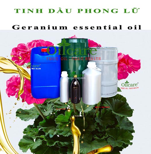 Tinh dầu phong lữ bán sỉ kg lít buôn geranium essential oil giá rẻ mua ở đâu