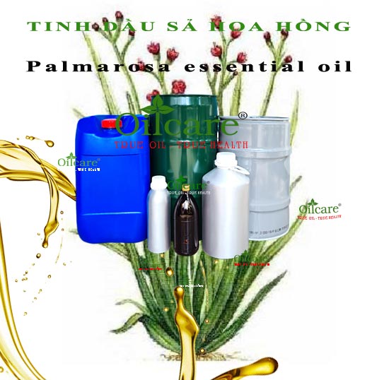 Tinh dầu sả hoa hồng bán lít sỉ kg buôn palmarosa essential oil giá rẻ mua ở đâu
