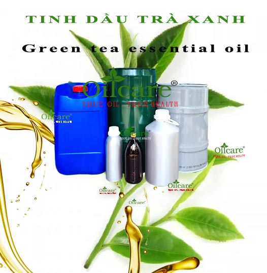 Tinh dầu trà xanh bán sỉ kg lít buôn green tea essential oil giá rẻ mua ở đâu