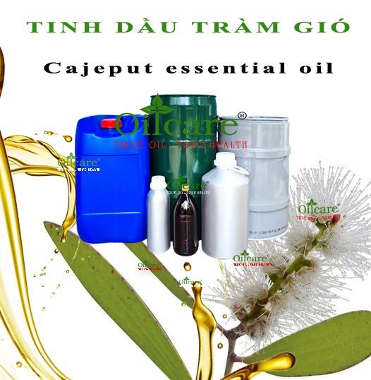 Tinh dầu tràm gió bán lít kg sỉ buôn niaouli essential oil giá rẻ mua ở đâu