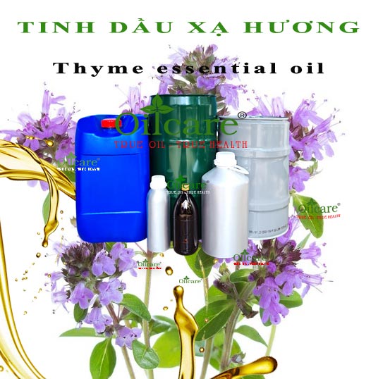 Tinh dầu xạ hương bán sỉ lít kg buôn thyme essential oil giá rẻ mua ở đâu