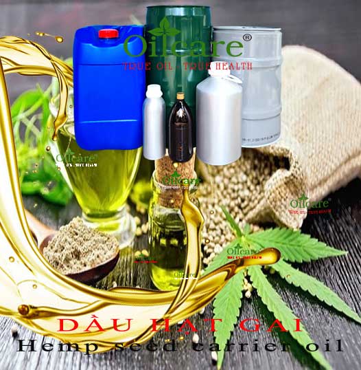 Dầu hạt gai bán sỉ lít kg buôn hemp seed oil giá rẻ mua ở đâu