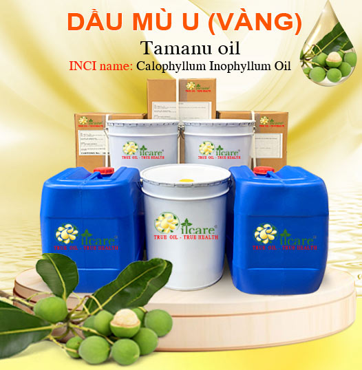 Dầu Mù U Bán Lít, Kg Số Lượng Lớn - Giá Cả Cạnh Tranh