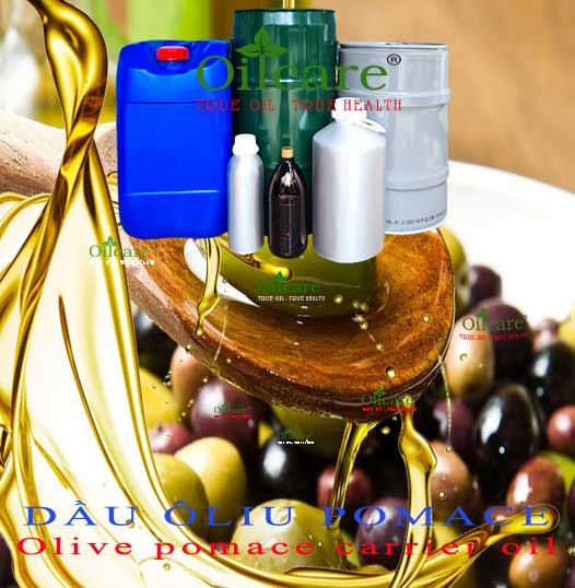 Dầu ô liu pomace bán sỉ buôn kg lít olive oil giá rẻ mua ở đâu