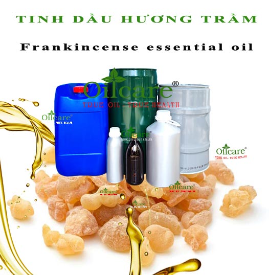 Tinh dầu hương trầm bán lít sỉ kg buôn Frankincense essential oil giá rẻ mua ở đâu