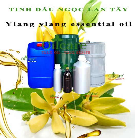 Tinh dầu ngọc lan tây bán sỉ lít kg buôn ylang ylang essential oil giá rẻ mua ở đâu