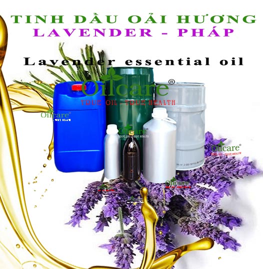 Tinh dầu oải hương pháp bán sỉ kg lít buôn rẻ mua ở đâu