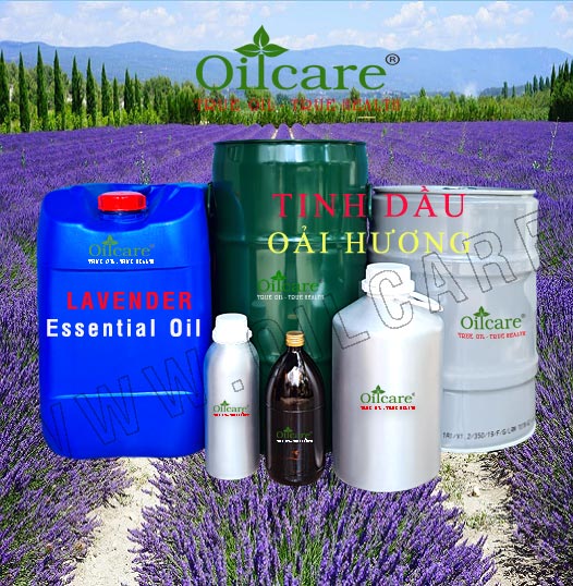 Tinh dầu lavender pháp bán sỉ kg lít buôn essential oil france mua ở đâu