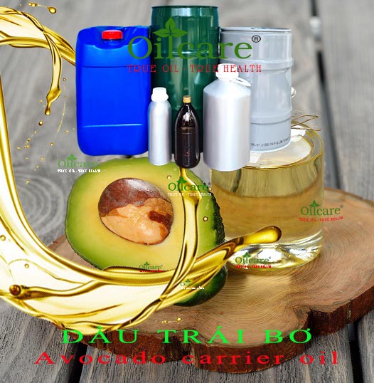 Dầu trái bơ bán sỉ lít kg buôn avocado oil giá rẻ mua ở đâu