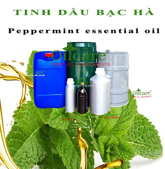 Tinh dầu bạc hà bán sỉ kg lít buôn rẻ mua ở đâu