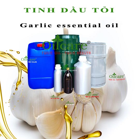 Tinh dầu tỏi bán sỉ kg lít buôn garlic essential oil giá rẻ mua ở đâu