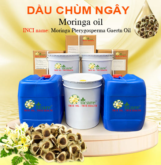 Dầu Chùm Ngây Bán Lít, Kg Số Lượng Lớn - Giá Cả Cạnh Tranh