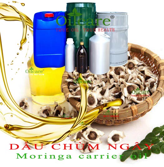 Dầu chùm ngây bán lít sỉ kg buôn moringa seed oil giá rẻ mua ở đâu