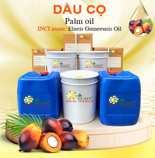 Dầu Cook ĐB (Dầu Cọ) - Palm oil Bán Lít, Kg Số Lượng Lớn - Giá Cả Cạnh Tranh
