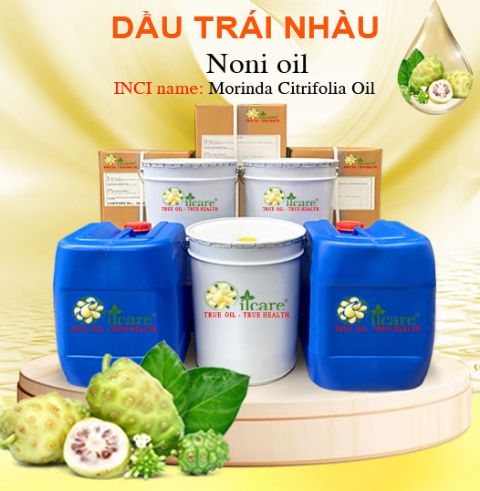 Dầu Trái Nhàu Bán Lít, Kg Số Lượng Lớn - Giá Cả Cạnh Tranh