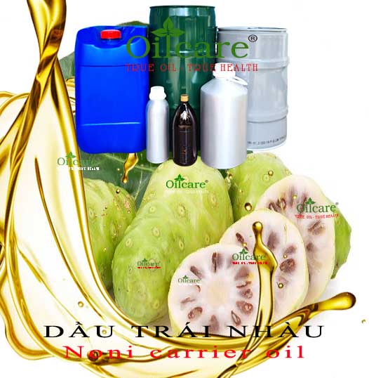 Dầu trái nhàu bán lít sỉ kg buôn noni oil giá rẻ mua ở đâu