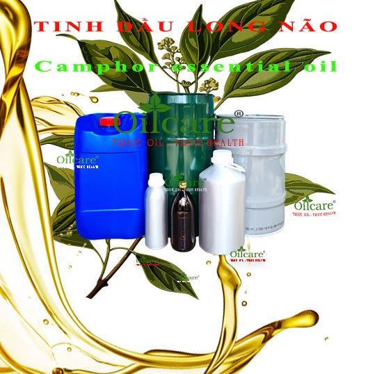 Tinh dầu long não bán lít kg sỉ buôn camphor essential oil giá rẻ mua ở đâu