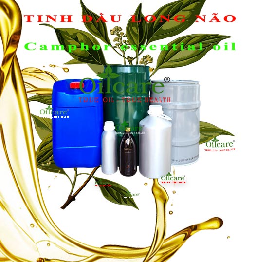 Tinh dầu long não bán lít kg sỉ buôn camphor essential oil giá rẻ mua ở đâu