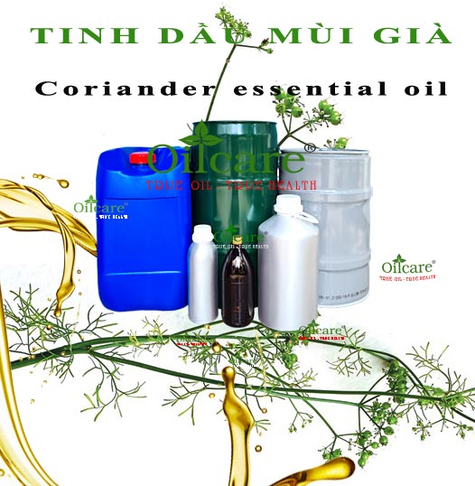 Tinh dầu hạt mùi già bán buôn sỉ kg lít coriander essential oil giá rẻ mua ở đâu