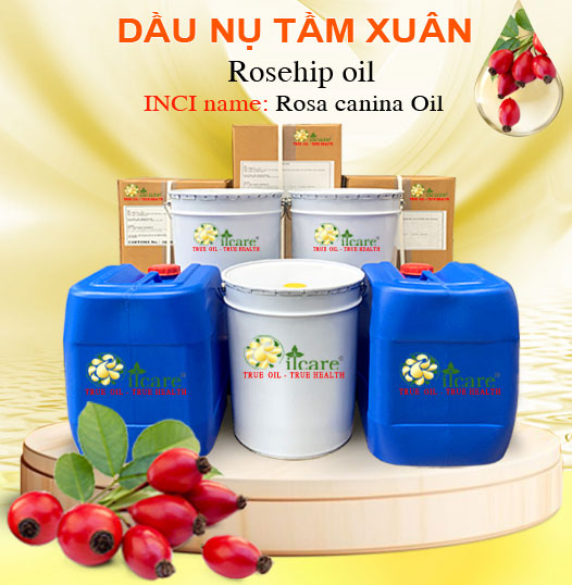 Dầu Nụ Tầm Xuân Bán Lít, Kg Số Lượng Lớn - Giá Cả Cạnh Tranh
