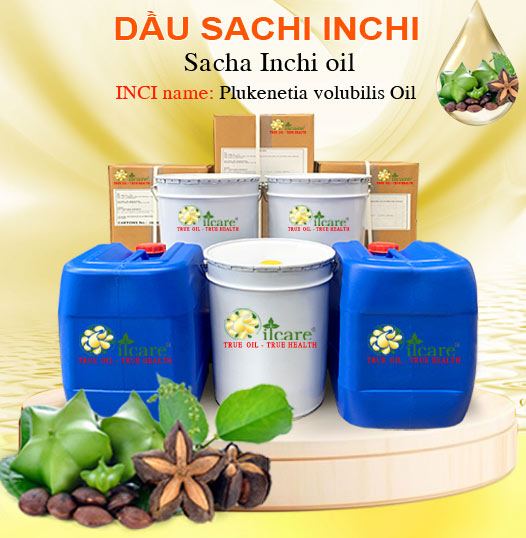 Dầu Sacha inchi Bán Lít, Kg Số Lượng Lớn - Giá Cả Cạnh Tranh