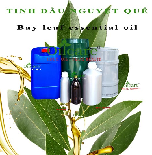 Tinh dầu nguyệt quế bán kg lít sỉ buôn bay leaf essential oil giá rẻ mua ở đâu