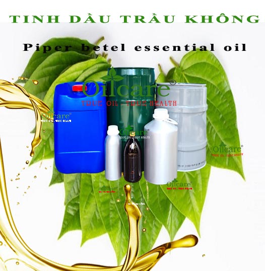 Tinh dầu trầu không bán sỉ lít kg buôn piper betel essential oil giá rẻ mua ở đâu