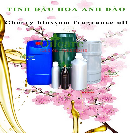 Tinh dầu hoa anh đào bán sỉ lít kg buôn cherry blossom fragrance oil giá rẻ mua ở đâu