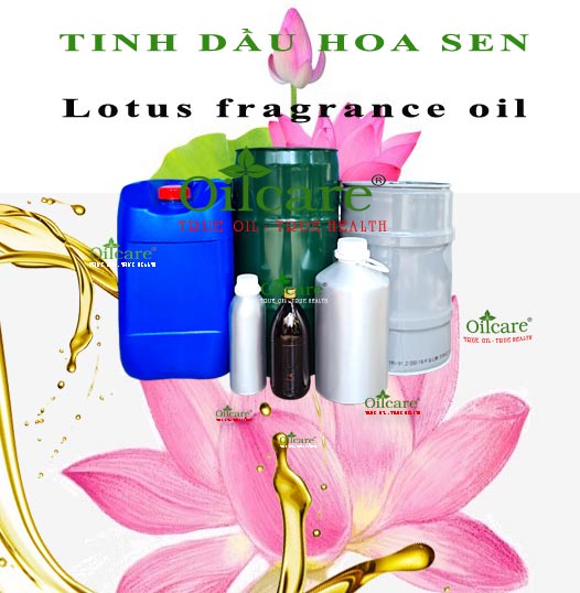 Tinh dầu hoa sen bán sỉ buôn lít kg lotus fragrance oil giá rẻ mua ở đâu