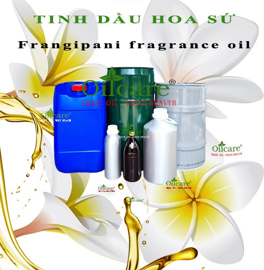 Tinh dầu hoa sứ bán sỉ lít kg buôn frangipani fragrance oil giá rẻ mua ở đâu