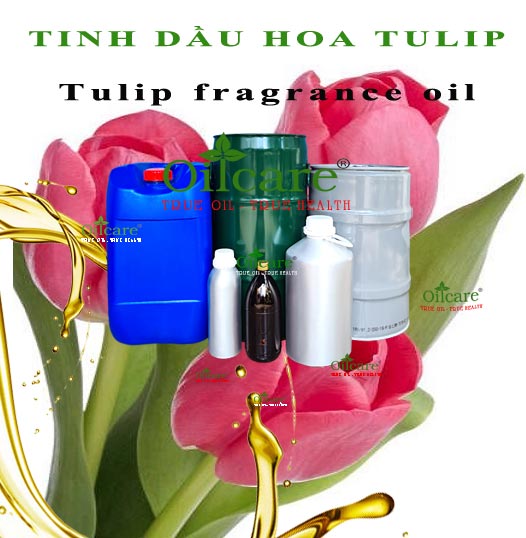 Tinh dầu hoa tulip bán sỉ lít kg buôn Tulip Fragrance oil giá rẻ mua ở đâu