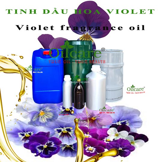Tinh dầu hoa violet bán sỉ lít kg buôn violet essential oil giá rẻ mua ở đâu