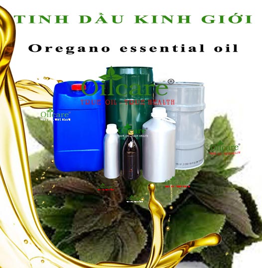 Tinh dầu kinh giới bán sỉ lít kg buôn oregano essential oil giá rẻ mua ở đâu