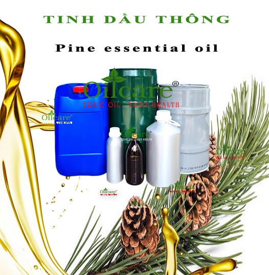 Tinh dầu thông bán sỉ buôn kg lít pine essential oil giá rẻ mua ở đâu