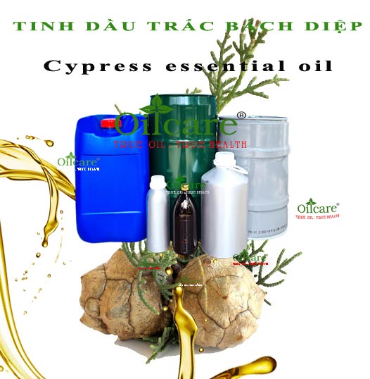 Tinh dầu trắc bách diệp bán sỉ kg lít buôn cypress essential oil giá rẻ mua ở đâu