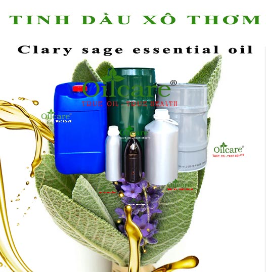 Tinh dầu xô thơm bán sỉ lít kg buôn clary sage essential oil giá rẻ mua ở đâu