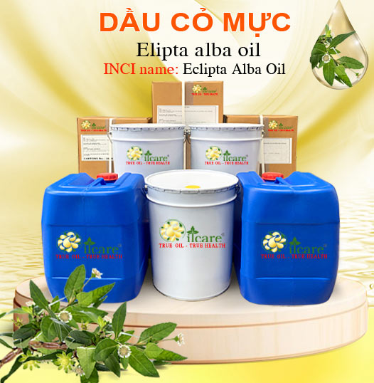 Dầu Cỏ Mực Bán Lít, Kg Số Lượng Lớn - Giá Cả Cạnh Tranh