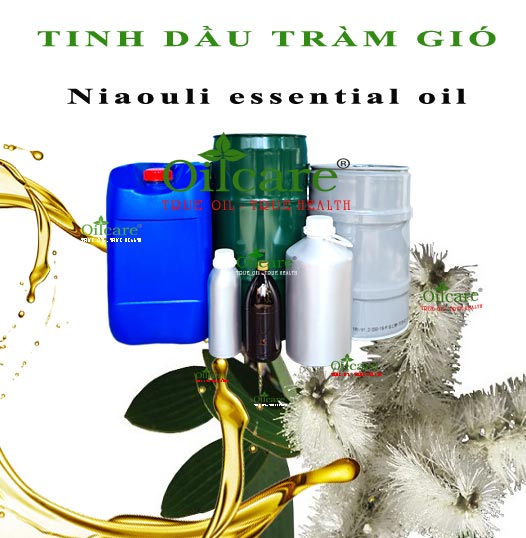 Tinh dầu tràm năm gân bán lít buôn sỉ kg giá rẻ mua ở đâu tại hà nội