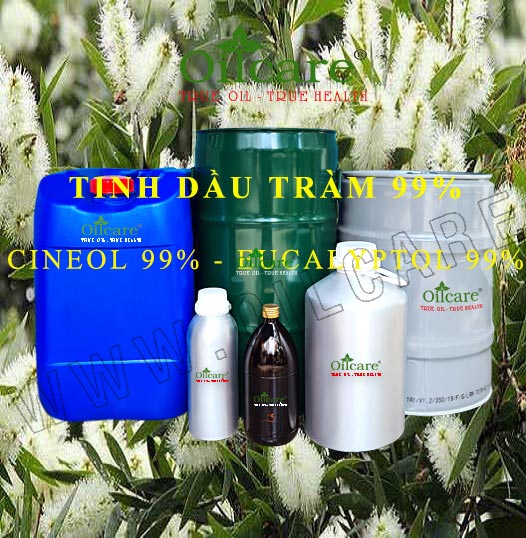 Tinh dầu tràm 99% eucalyptol 99% bán buôn sỉ kg lít giá rẻ mua ở đâu