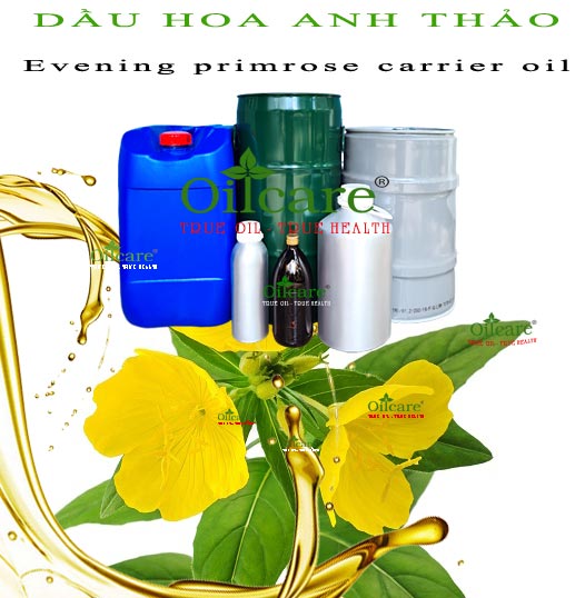 Dầu hoa anh thảo evening primrose bán lít sỉ kg buôn giá rẻ