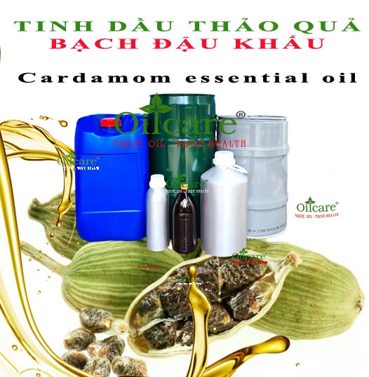 Tinh dầu thảo quả cardamom bán lít kg buôn giá sỉ rẻ mua ở đâu